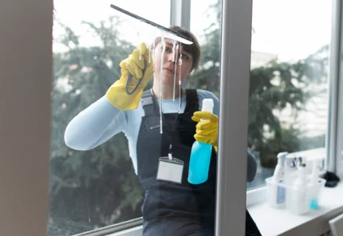 Nettoyage de vitres intérieures et extérieures à Saint-Sébastien-de-Morsent